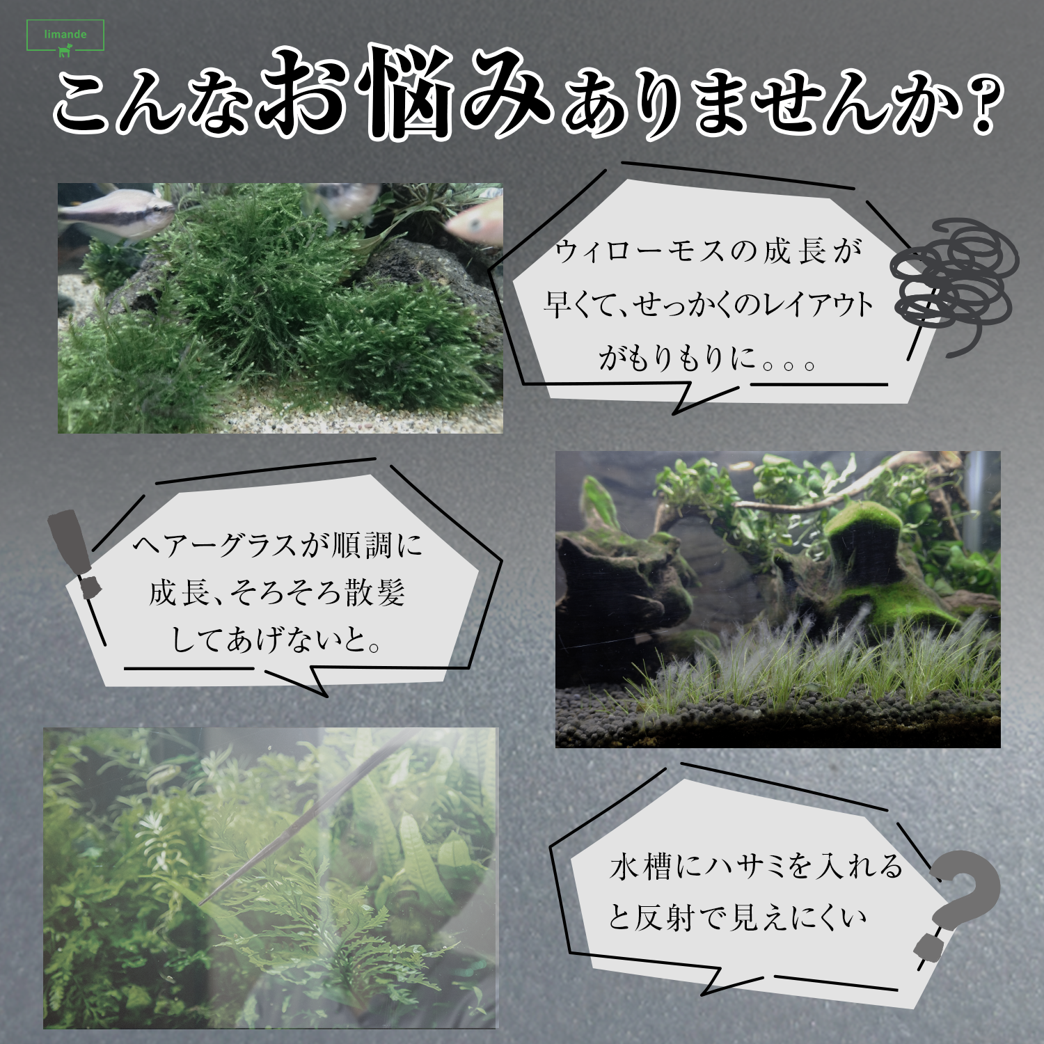 【水草トリミングが自由に楽しく!】 limande 水草ハサミ ブラックコーティング スプリング構造 ウェーブ型 水槽掃除 アクアリウム - 画像 (3)