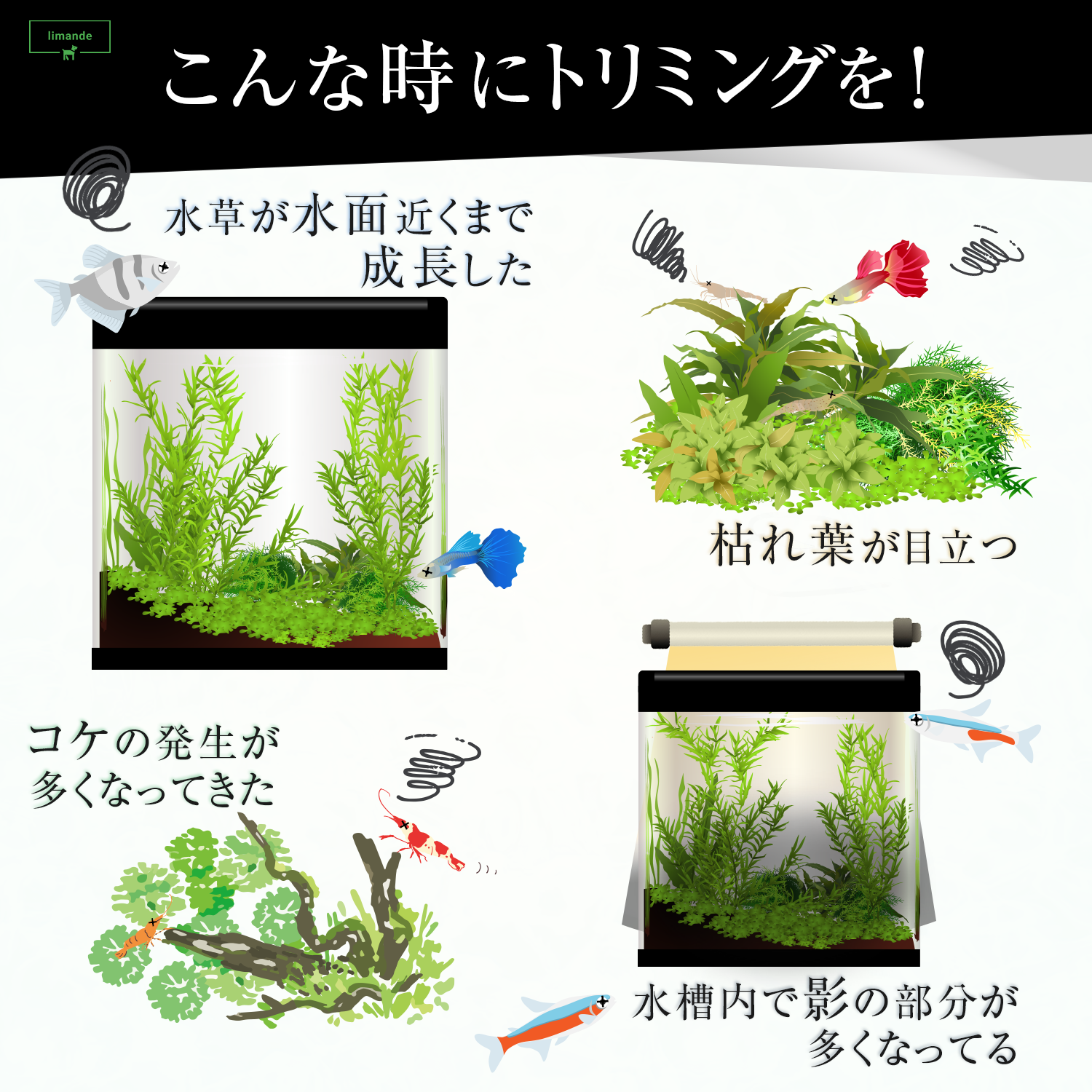 【水草トリミングが自由に楽しく!】 limande 水草ハサミ ブラックコーティング スプリング構造 ウェーブ型 水槽掃除 アクアリウム - 画像 (4)