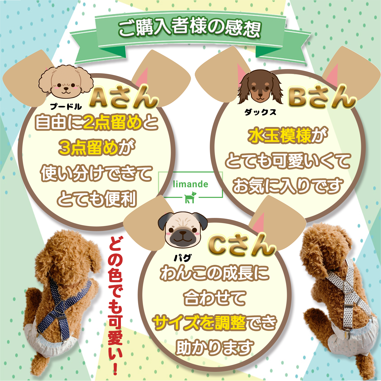 【収支が見える!】 limande 家計簿 袋分け お金管理 ファイル 家計管理 ポーチ 大容量 リフィル23枚付 バンドタイプ - 画像 (6)